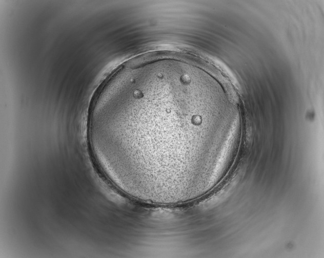 X0000102360938200808151810