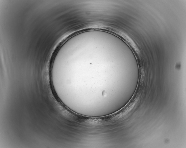 X0000102360939200808151810