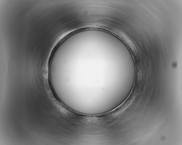 X0000102360940200808151810