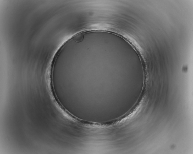 X0000102360941200808151810