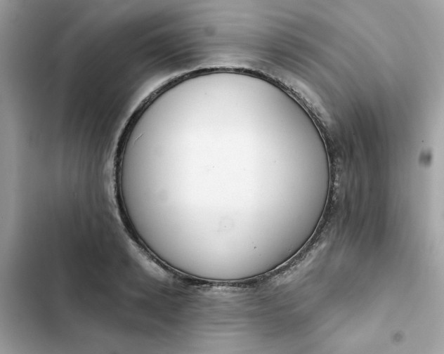 X0000102360942200808151810