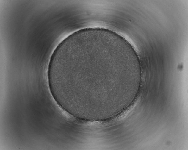 X0000102360943200808151810