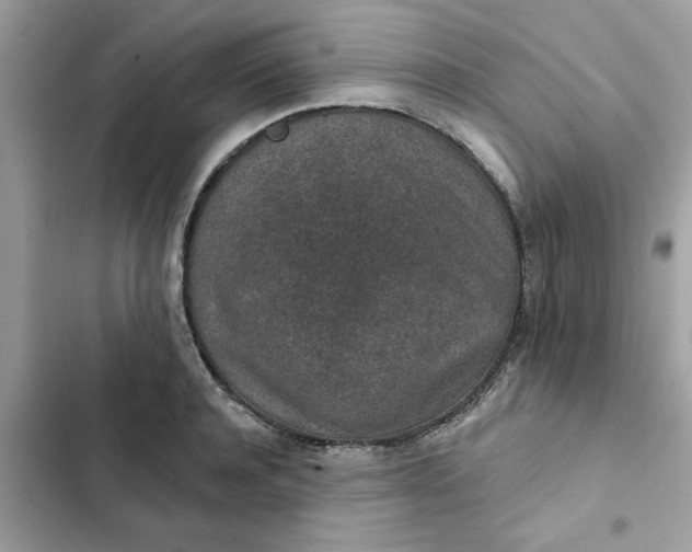 X0000102360944200808151810