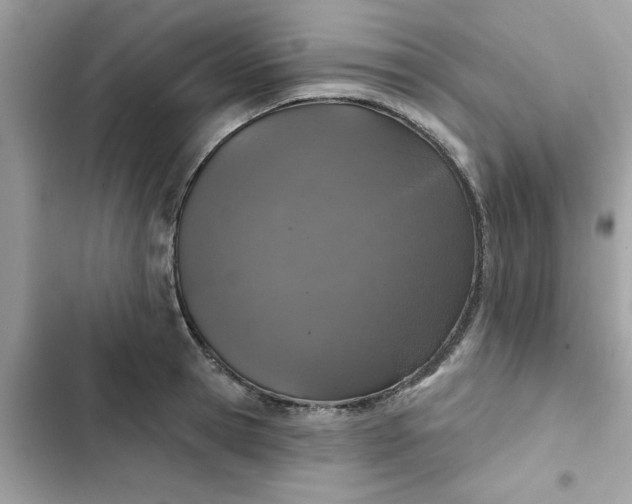 X0000102360945200808151810