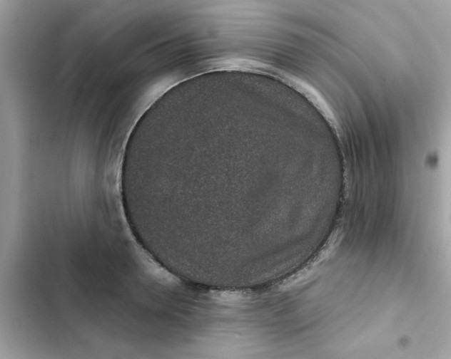 X0000102360946200808151810