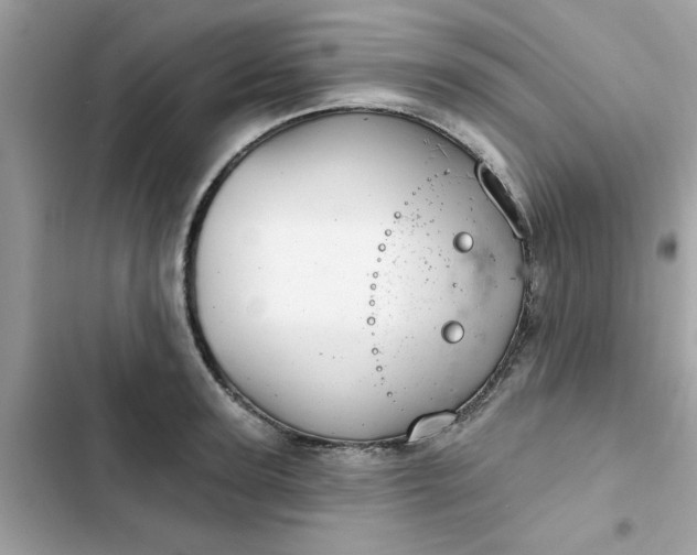 X0000102360947200808151810