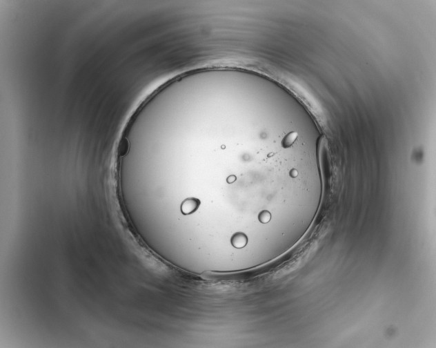 X0000102360948200808151810