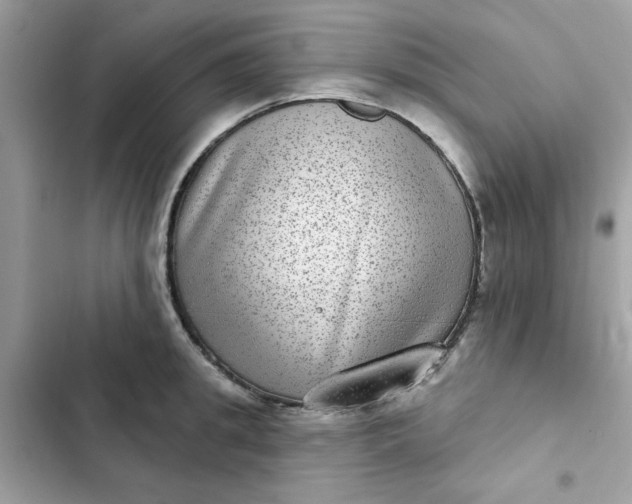 X0000102360949200808151810