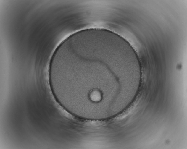 X0000102360950200808151810