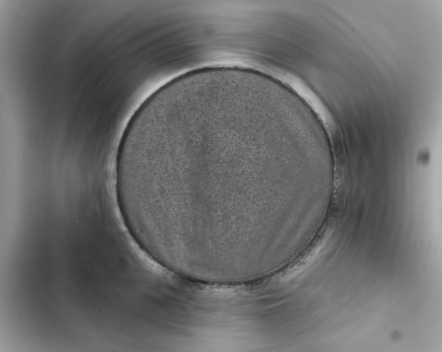 X0000102360951200808151810