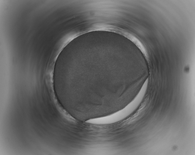 X0000102360954200808151810