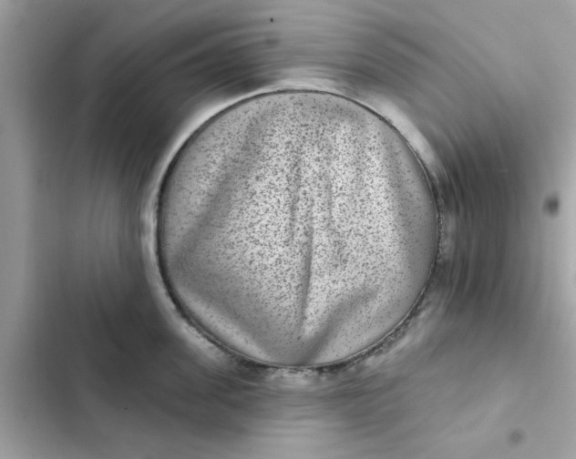 X0000102360955200808151810