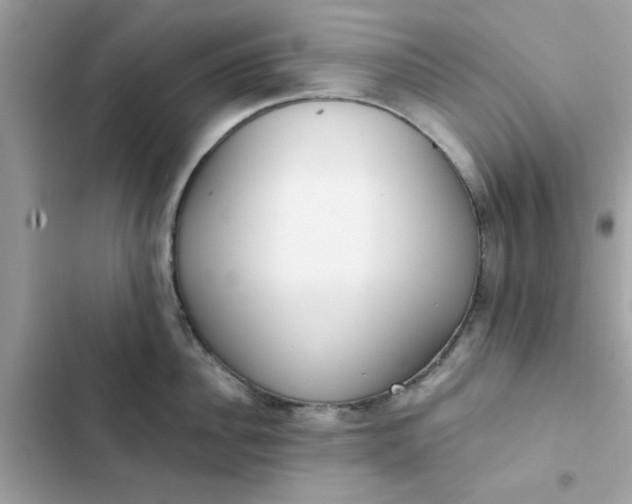 X0000102360956200808151810