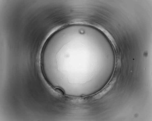 X0000102360957200808151810