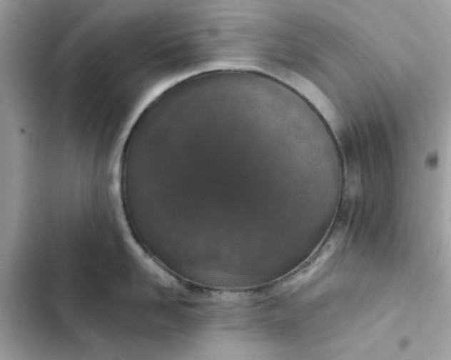 X0000102360958200808151810