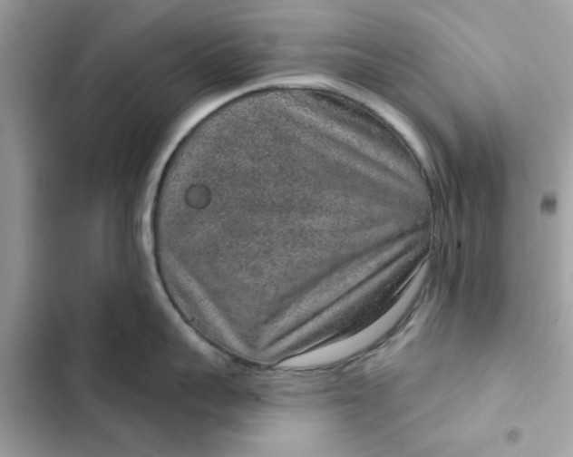 X0000102360959200808151810