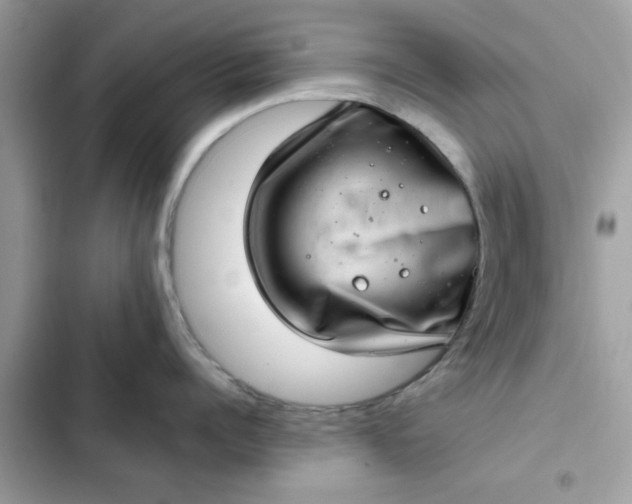 X0000102360960200808151810