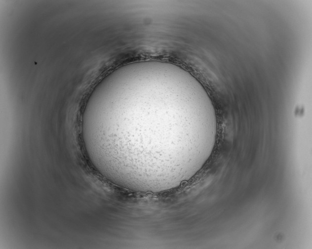 X0000102360961200808151809