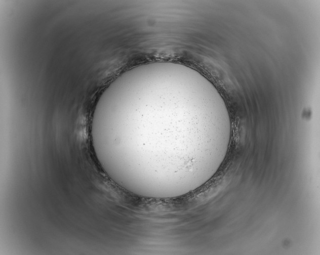 X0000102360962200808151809