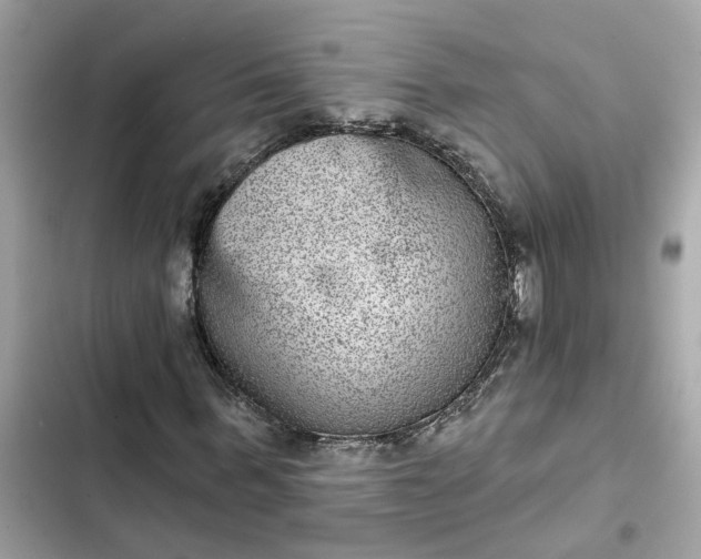 X0000102360963200808151809