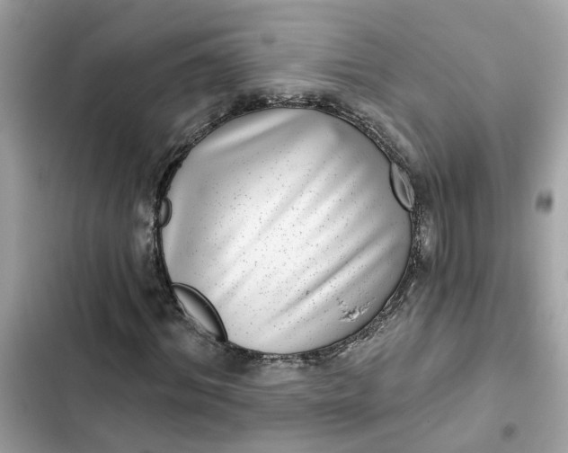 X0000102360964200808151809