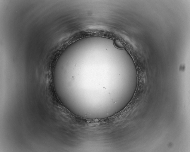 X0000102360965200808151809