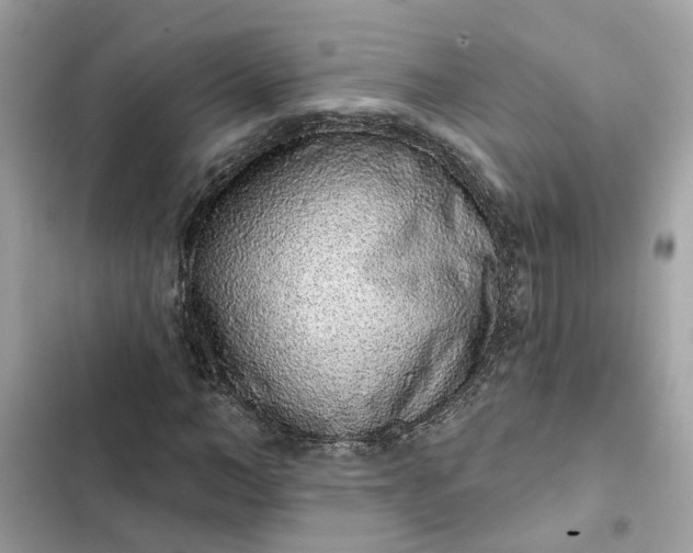 X0000102360966200808151809