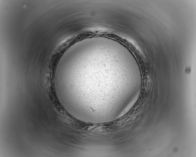 X0000102360967200808151809