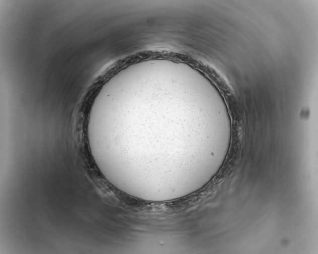 X0000102360968200808151809