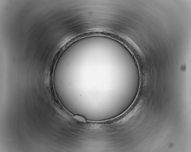 X0000102360969200808151809