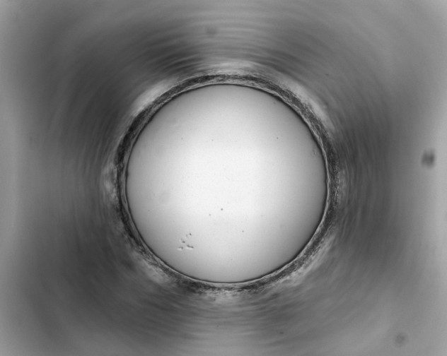 X0000102360970200808151809