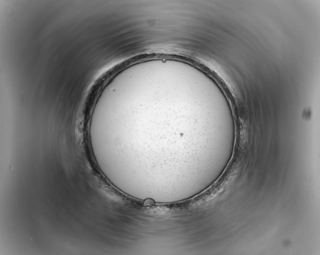 X0000102360971200808151809