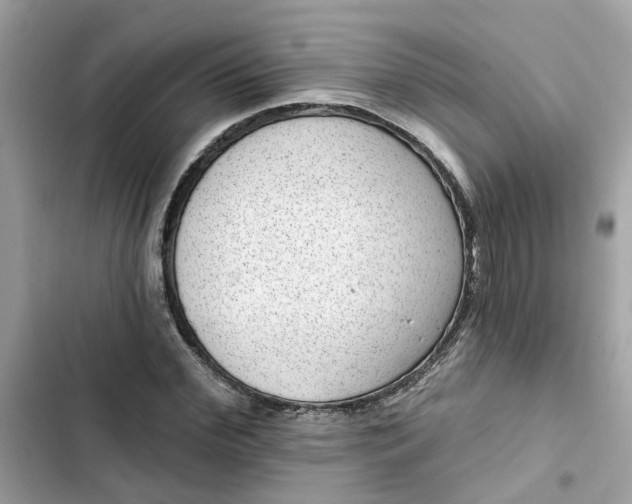 X0000102360972200808151809