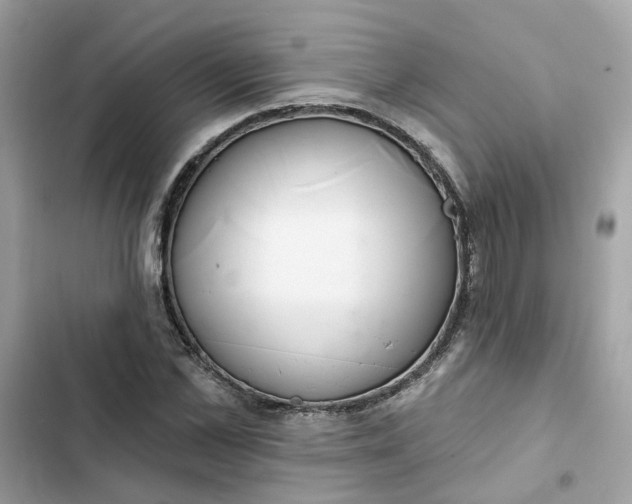 X0000102360973200808151809