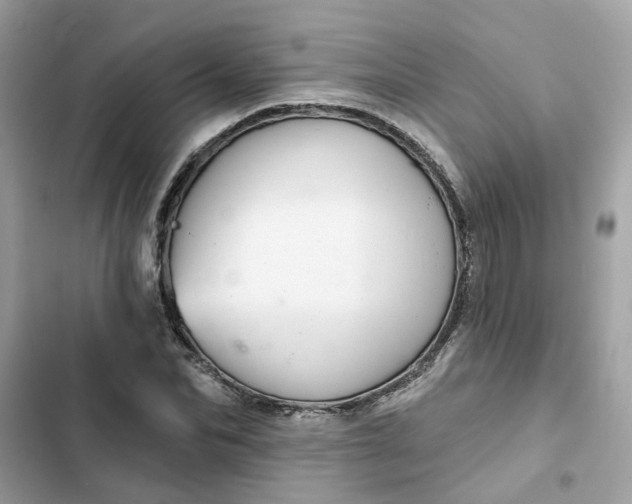 X0000102360974200808151809