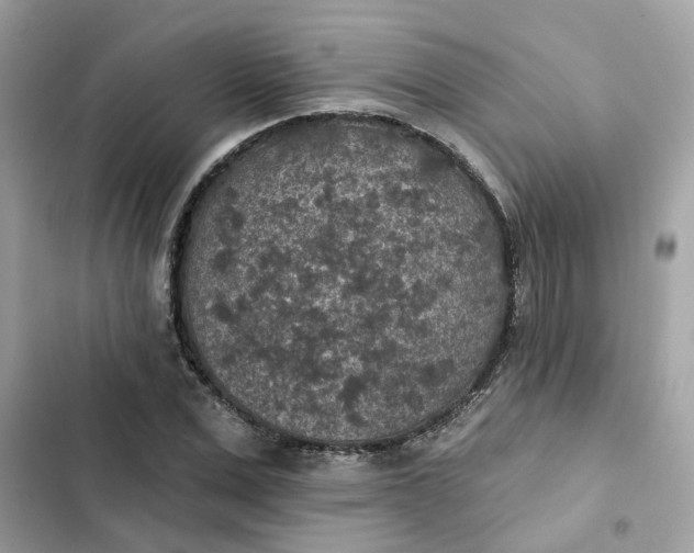 X0000102360975200808151809