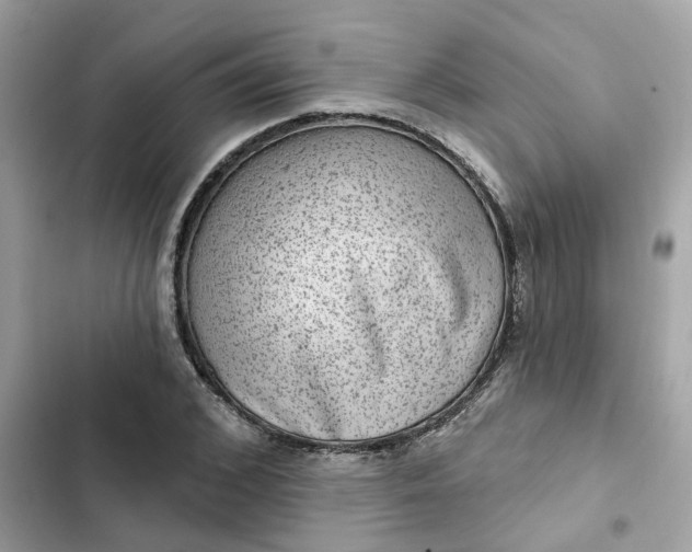 X0000102360976200808151809