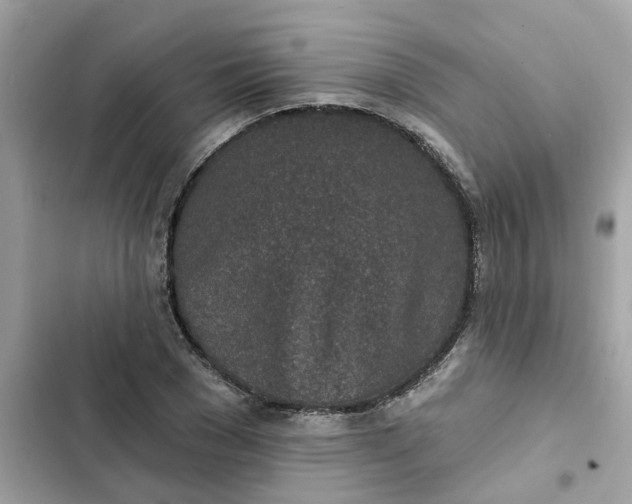 X0000102360977200808151809