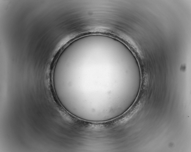 X0000102360978200808151809