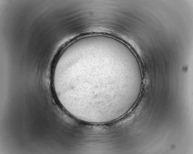 X0000102360979200808151809