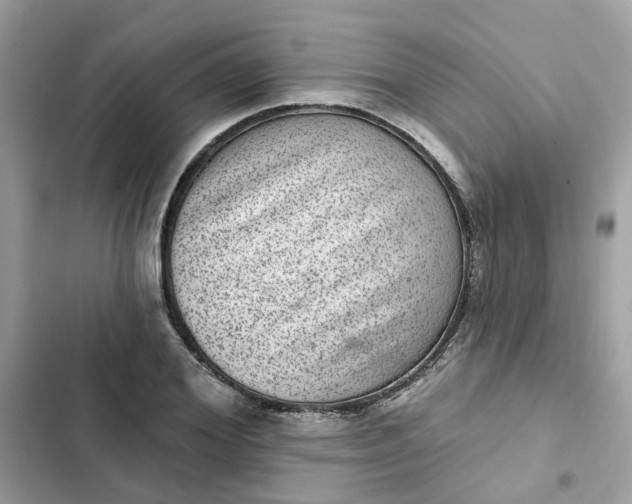 X0000102360980200808151809