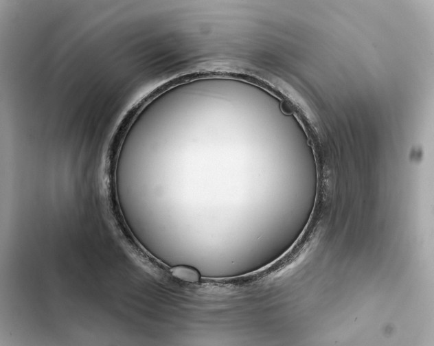 X0000102360981200808151809