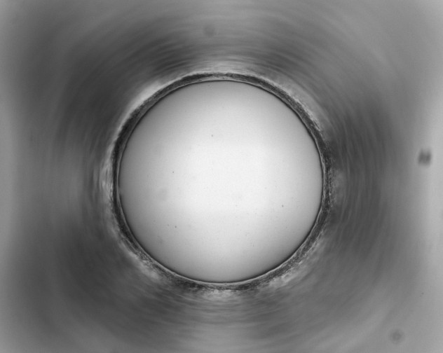 X0000102360982200808151809