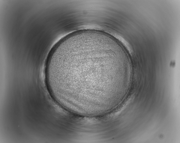 X0000102360983200808151809