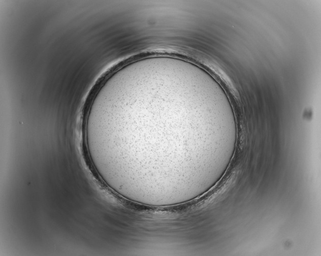 X0000102360984200808151809