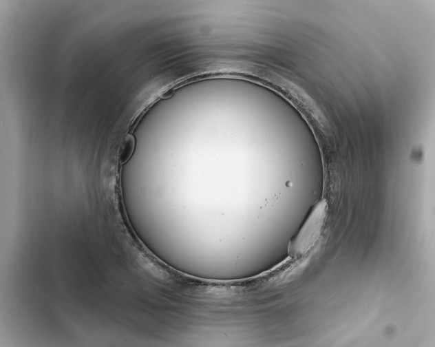 X0000102360985200808151809