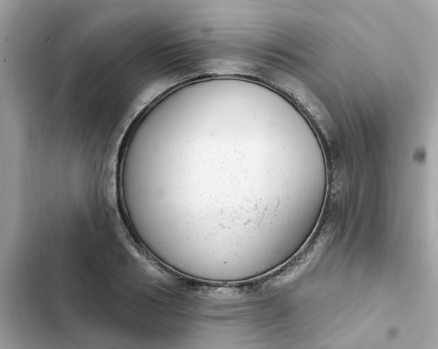 X0000102360986200808151809