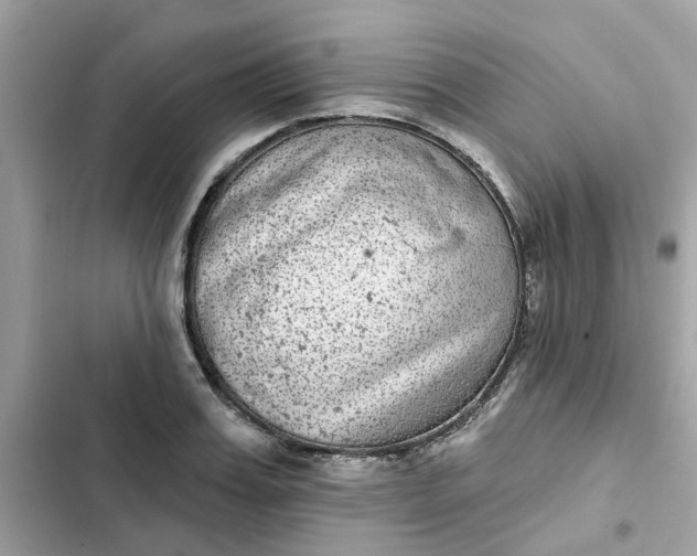 X0000102360987200808151809