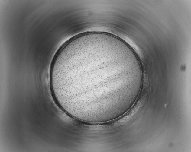 X0000102360988200808151809