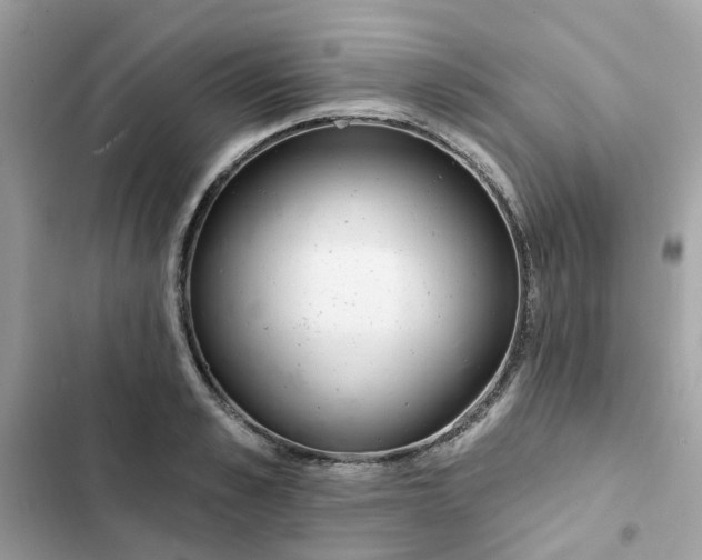 X0000102360989200808151809